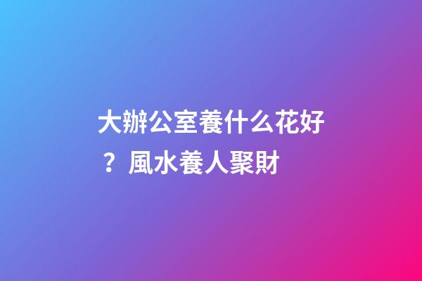 大辦公室養什么花好？風水養人聚財
